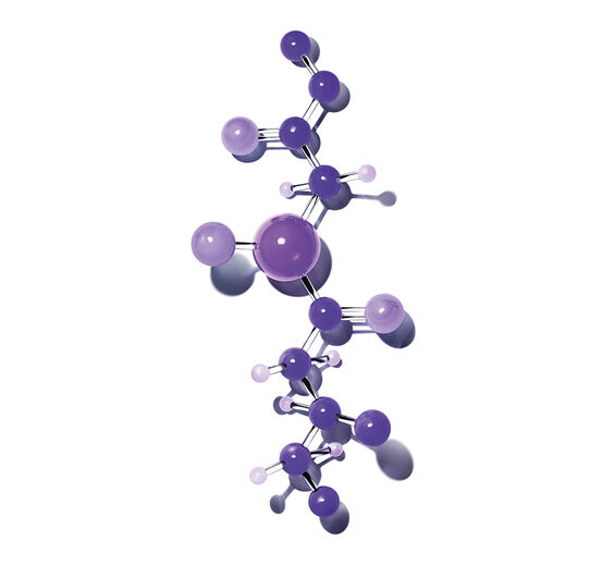 Plumping peptide