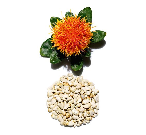 Safflower-Safflower extract-Carthamus tinctorius (safflower) seedcake extract
