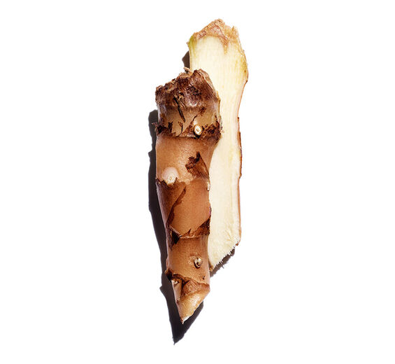 Ginger Lily-Ginger lily extract (organic plant)-Hedychium coronarium root extract