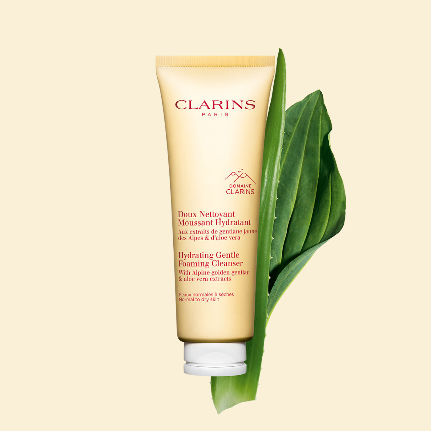 Hydrating Gentle Foaming Cleanser CLARINS
