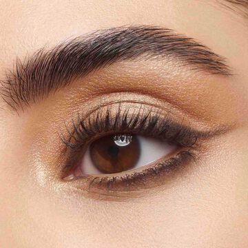 Eye Quartet Palette