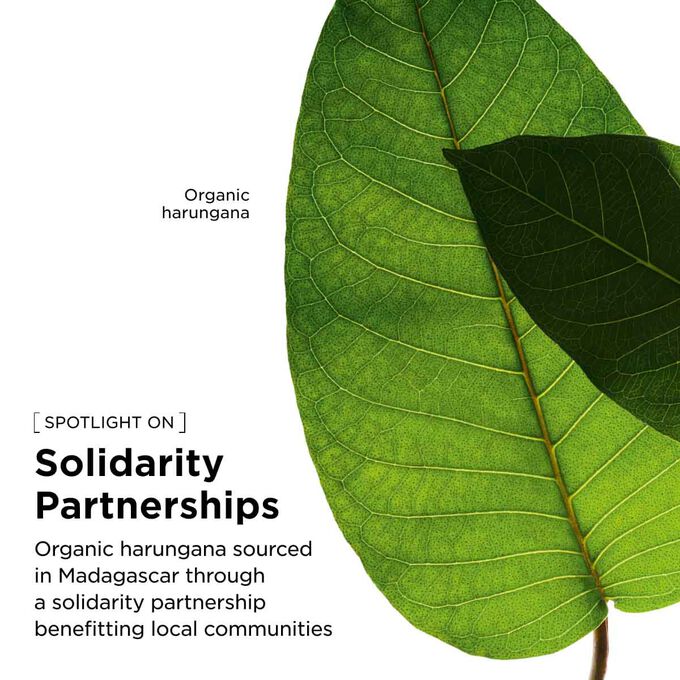 Clarins responsible sourcing of organic Harungana extract for our energizing facial lotion to support local communities.