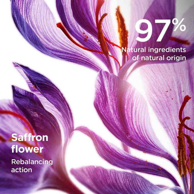 Showcase the saffron flower’s highlighting that the purifying toning lotion is made with 97% natural ingredients.