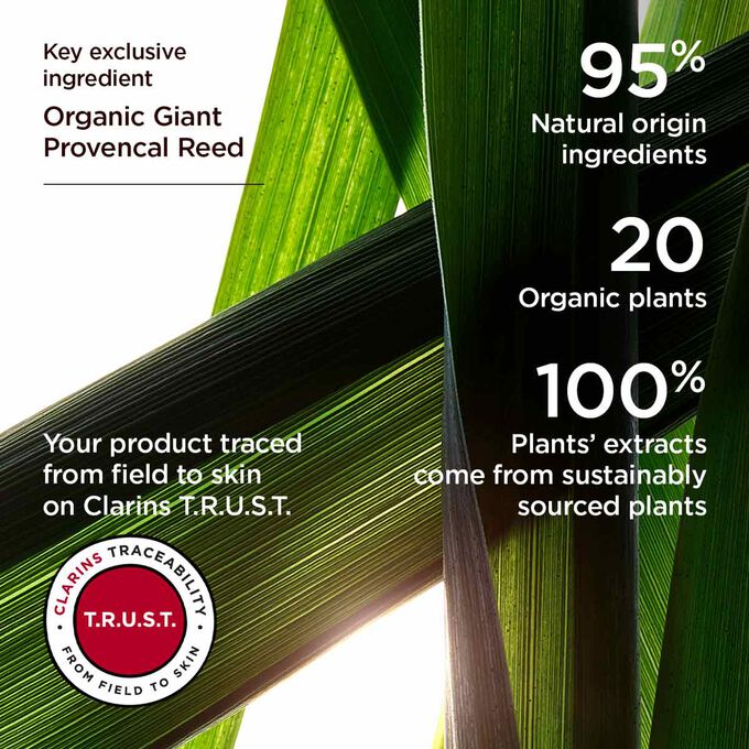 Visual of the organic giant provencal reed ingredient present in the Double Serum, emphasizing its 95% natural origin ingredients.