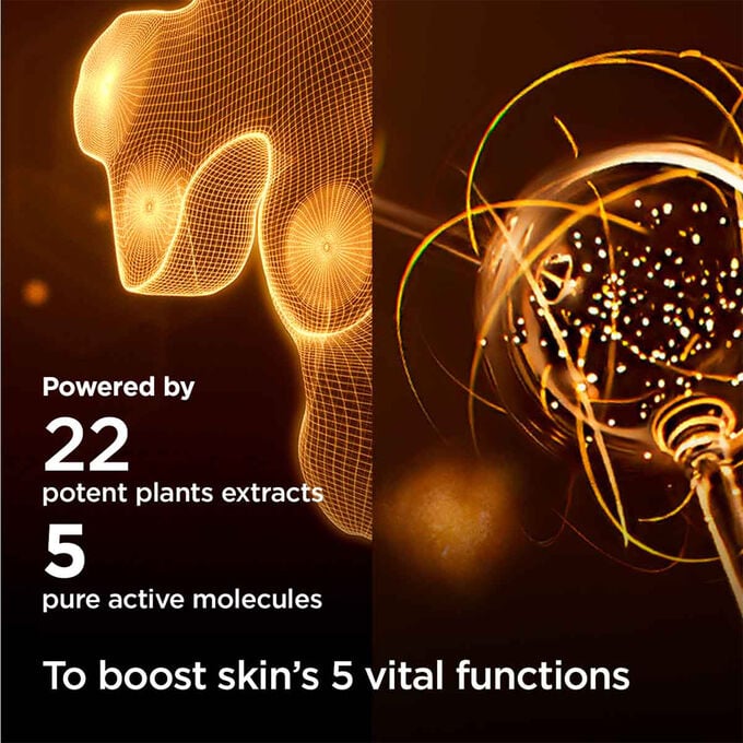 Double Serum &amp; Nutri-Lumi&egrave;re Collection