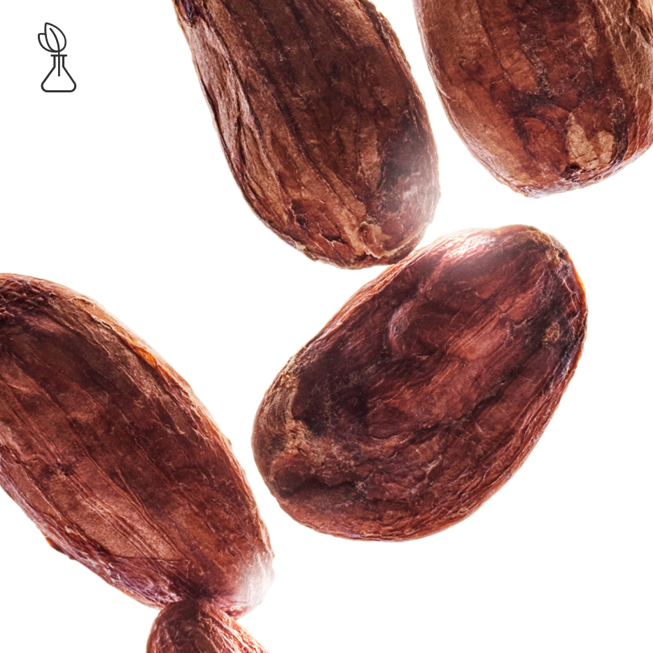 Cocoa Tree-Organic cocoa extract-undefined