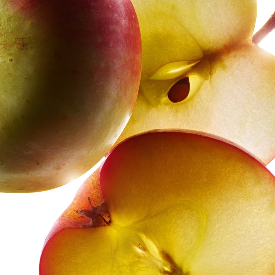 Apple tree-organic small apple extract-Malus Domestica Fruit Extract