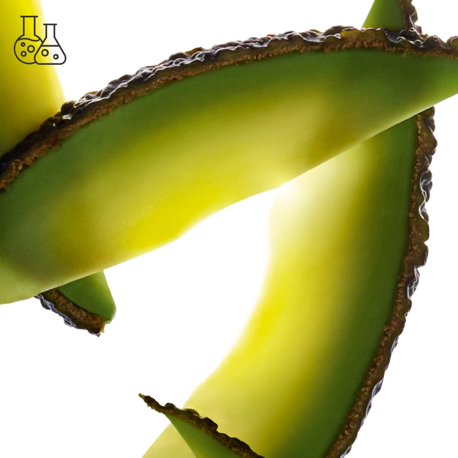 Avocado tree-Avocado unsaponifiable-Persea gratissima (avocado) oil unsaponifiables