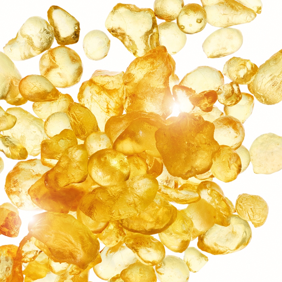 Mastic Shrub-Mastic extract-Pistacia lentiscus (mastic) gum