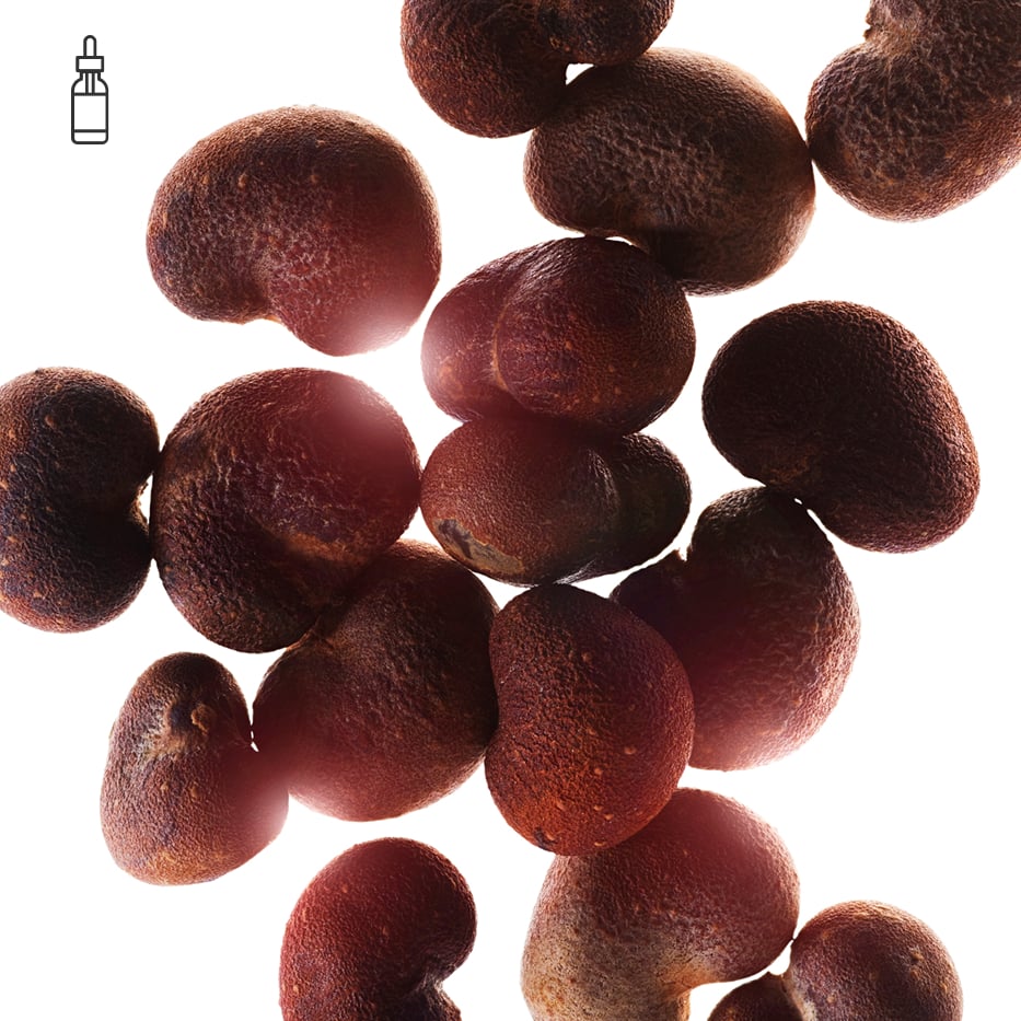 Baobab-Organic baobab oil-Adansonia digitata seed oil