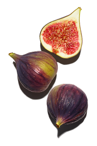 Fig