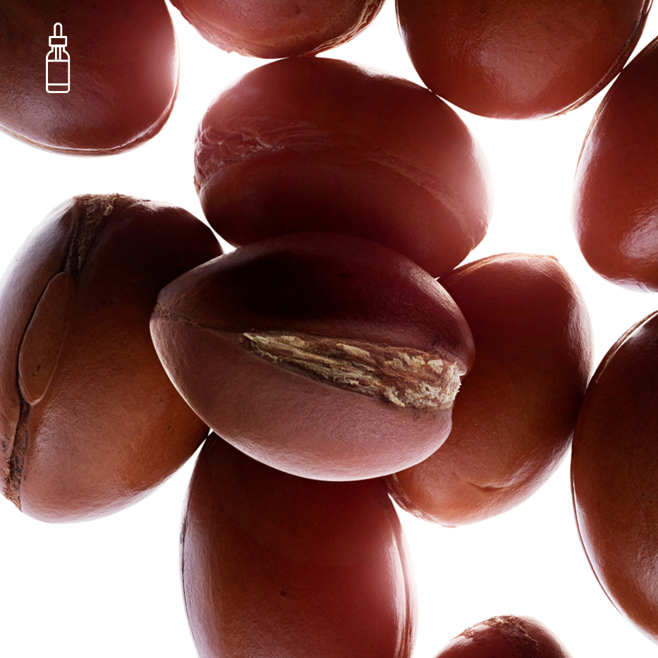 Argan Tree-Organic argan oil-Argania spinosa kernel oil