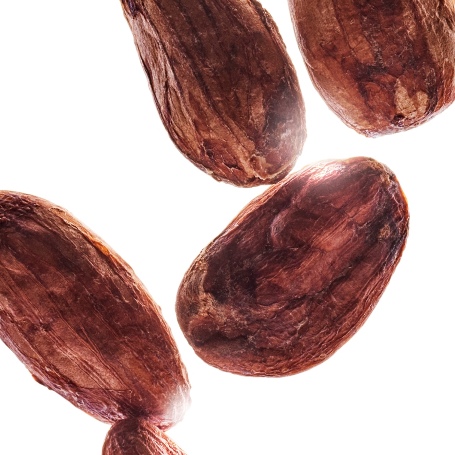 Cocoa Tree-Organic cocoa extract-undefined