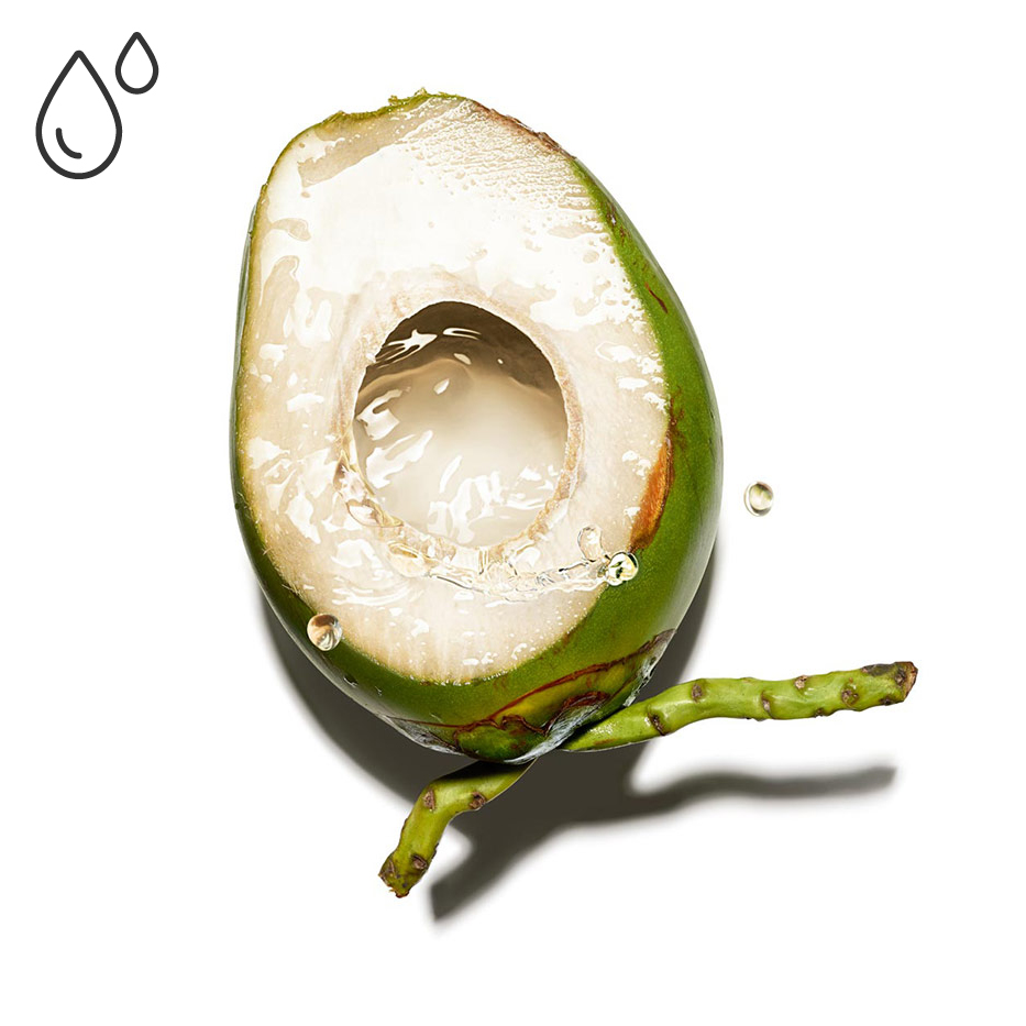 Coconut tree-Organic coconut water-Cocos nucifera (coconut) fruit juice