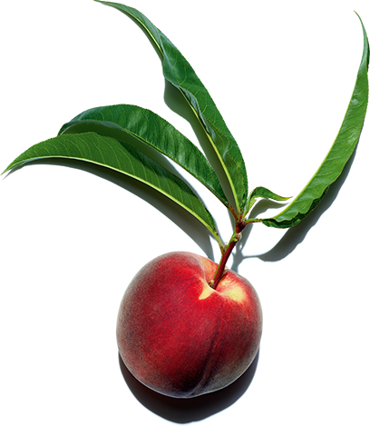 Peach Ingredient