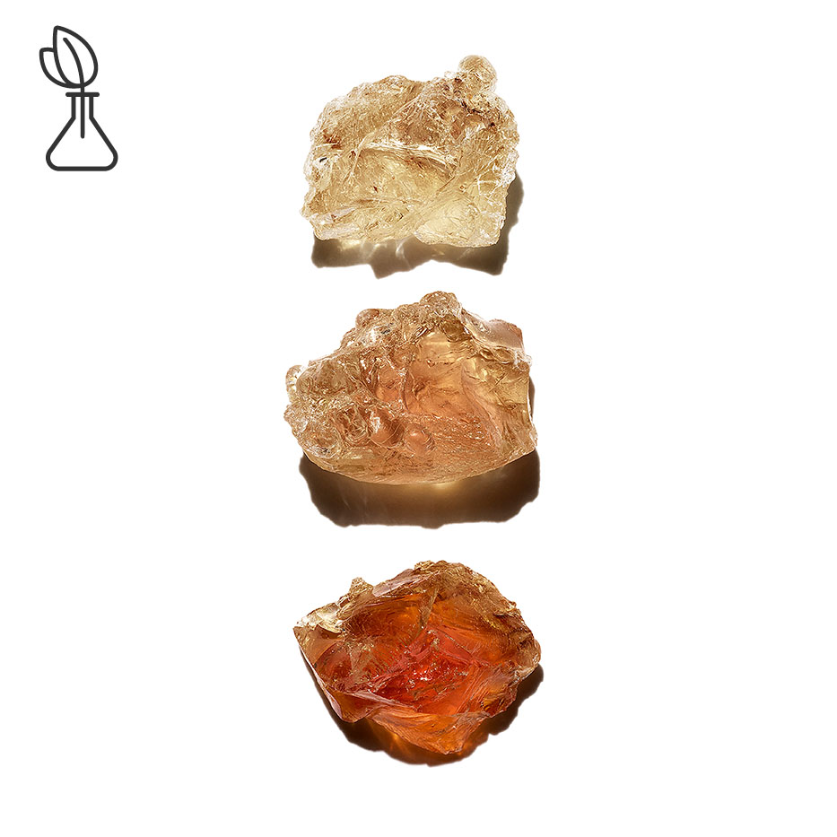 Acacia Senegal Tree-Micropatch vegetal-Acacia Senegal gum