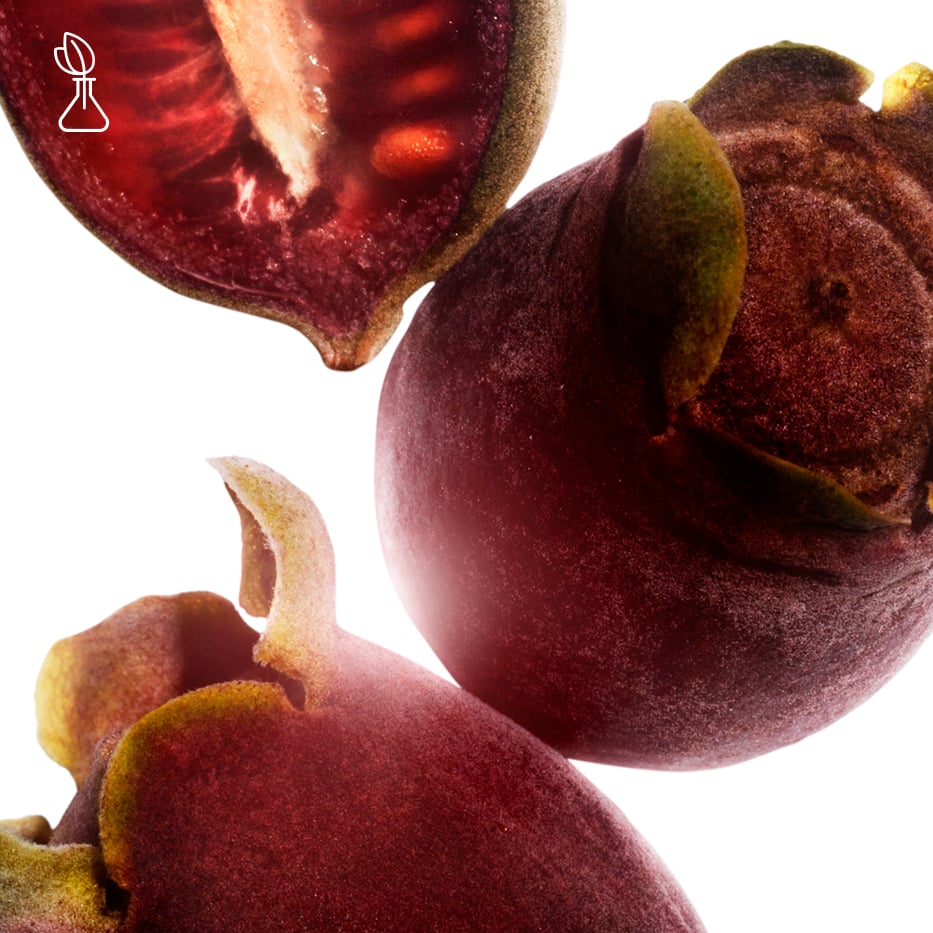 Rose-myrtle-Rose-myrtle extract-Rhodomyrtus tomentosa fruit extract