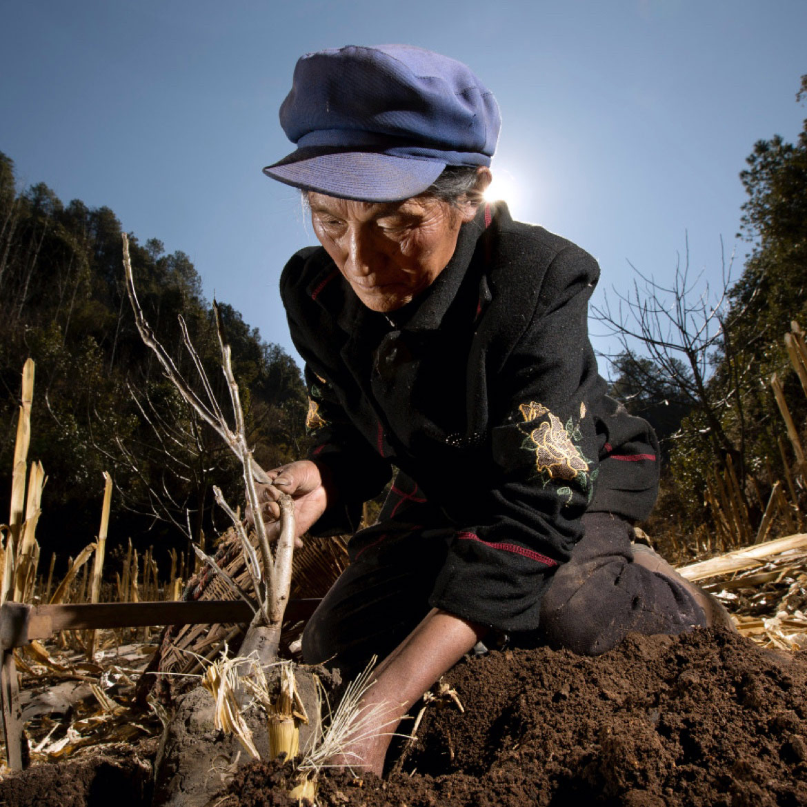 Committed to Biodiversity