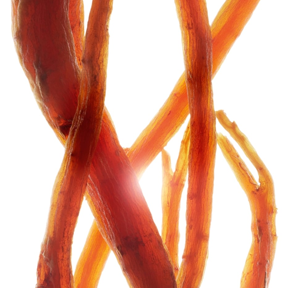 Ginseng-Organic red ginseng extract-Panax ginseng root extract
