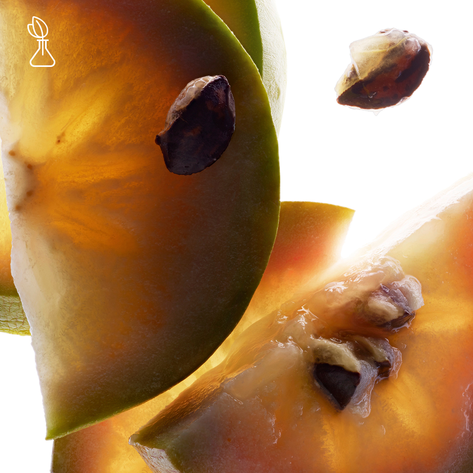 Star apple tree-Vu sua extract-Chrysophyllum cainito fruit extract