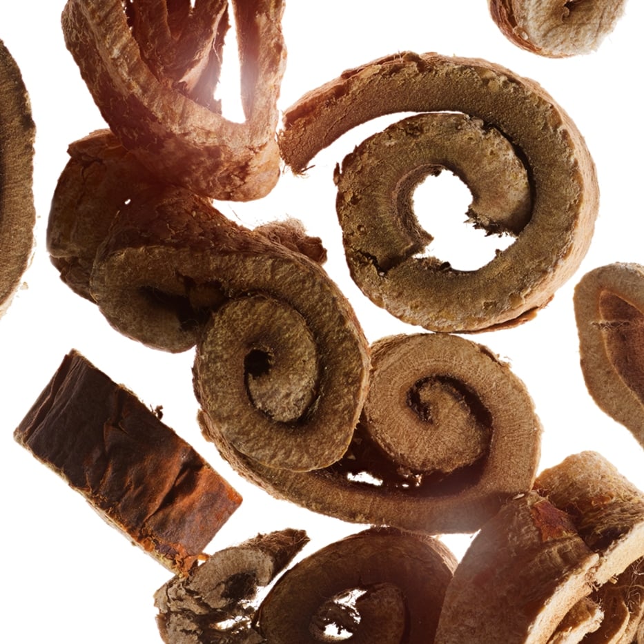 White Mulberry-Organic white mulberry extract-Morus alba root extract