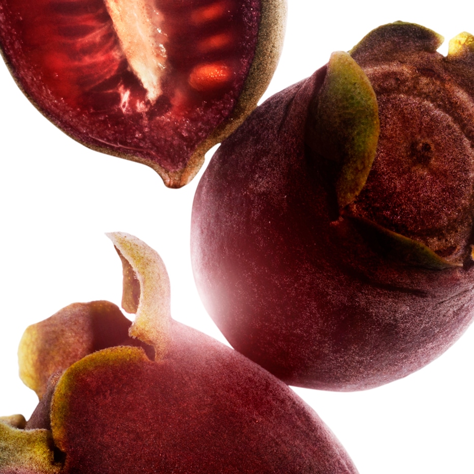 Rose-myrtle-Rose-myrtle extract-Rhodomyrtus tomentosa fruit extract