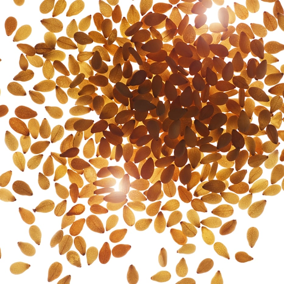 Sesame-Organic sesame oil-Sesamum indicum (sesame) seed oil