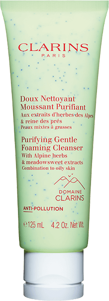 Purifying Gentle Foaming Cleanser