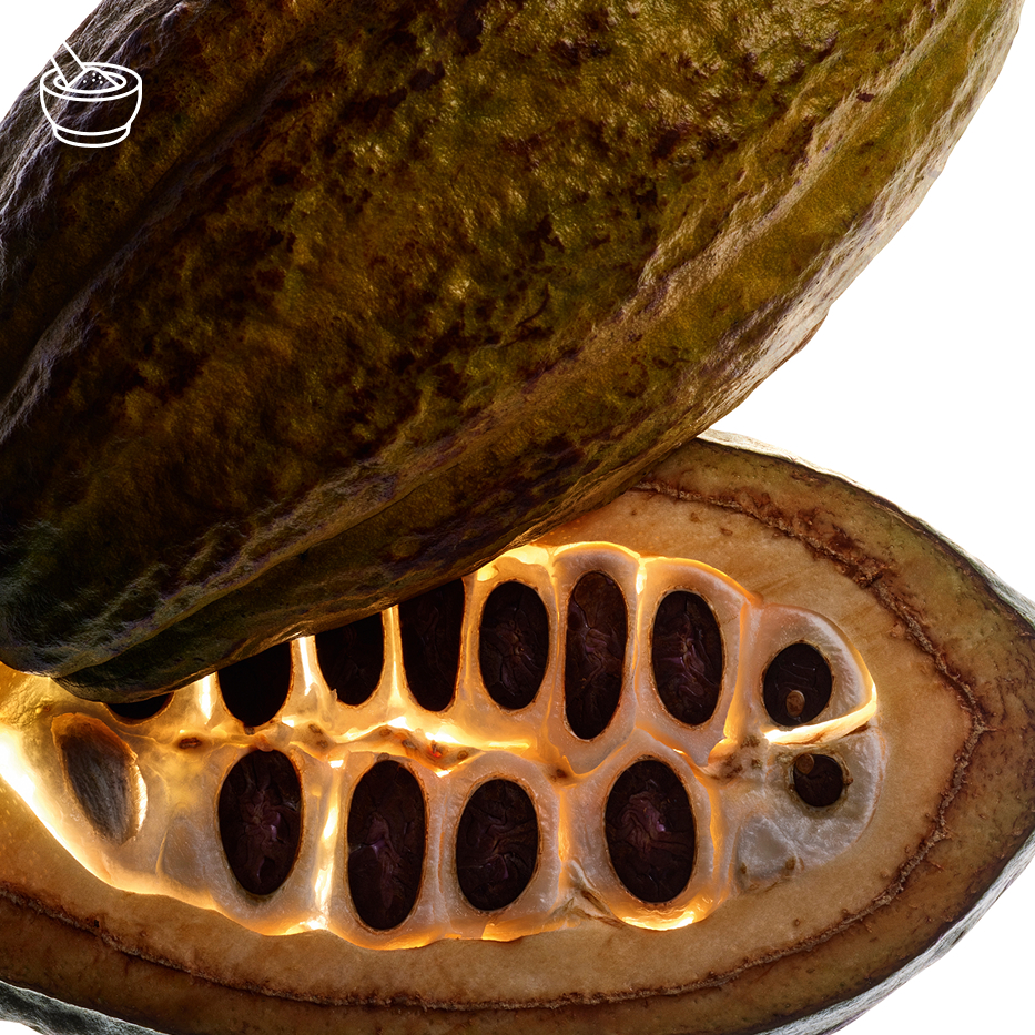 Cocoa Tree-Cocoa powder extract-Theobroma cacao (cocoa) extract