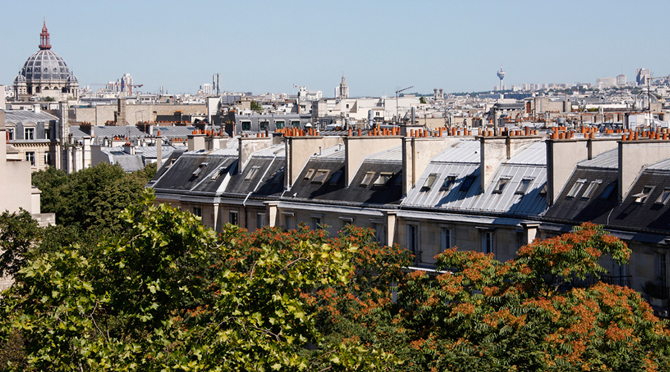 The Green Roofs of Paris