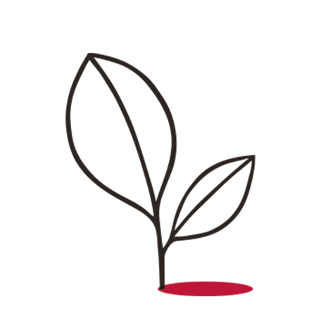 Clarins We Care - NATURALITY
