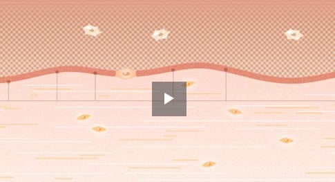 Scientific video