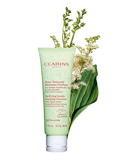 Purifying Gentle Foaming Cleanser
