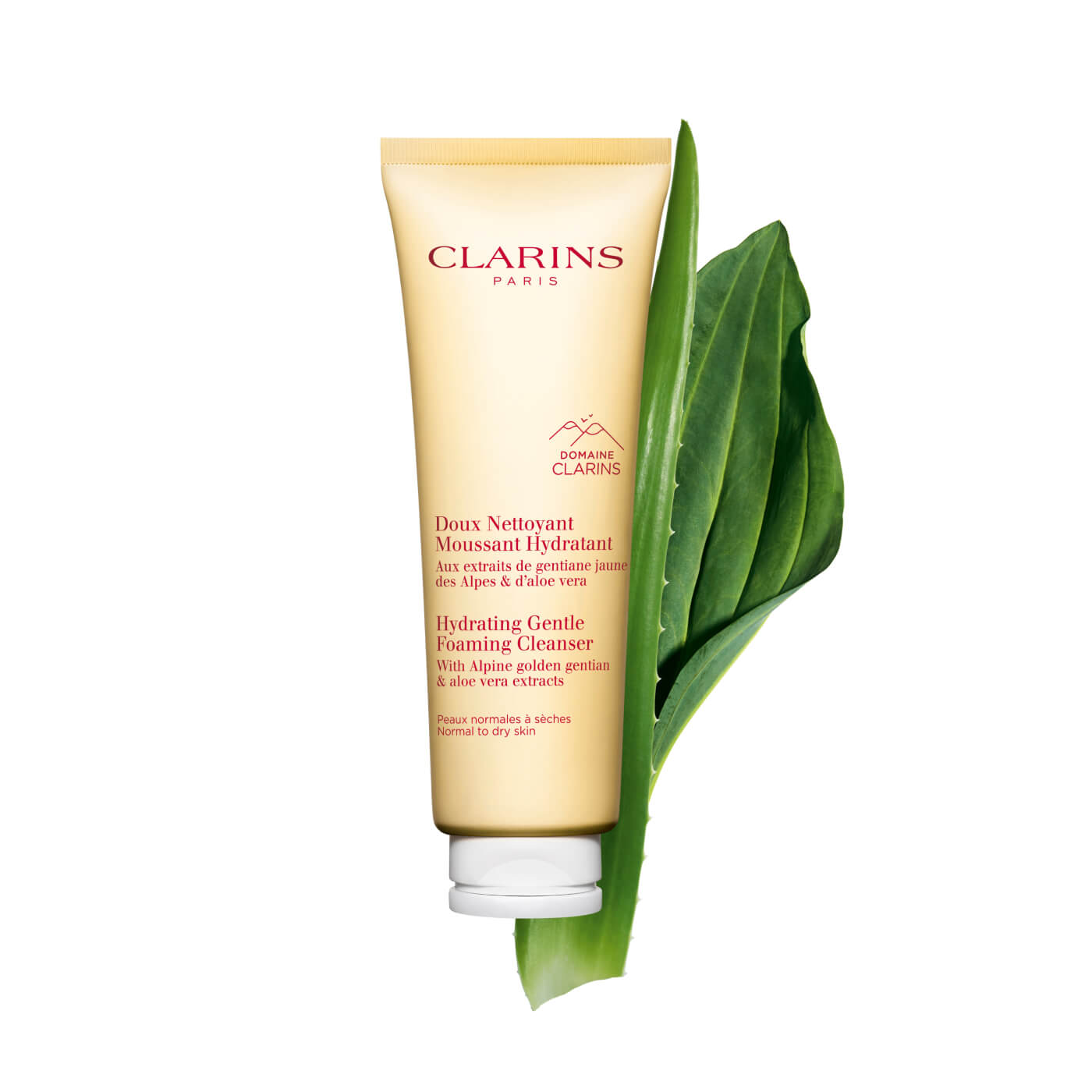 Hydrating Gentle Foaming Cleanser CLARINS